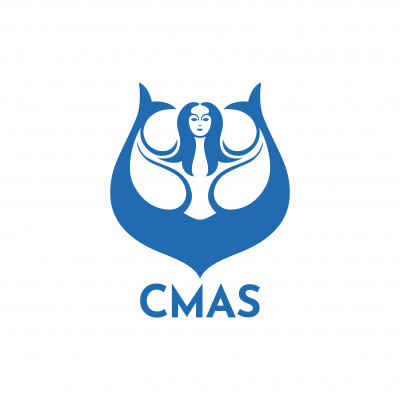 Finswimming swimsuits regulations