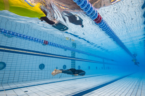 CMAS 2025 Indoor Freediving World Championship – Day 1 Report