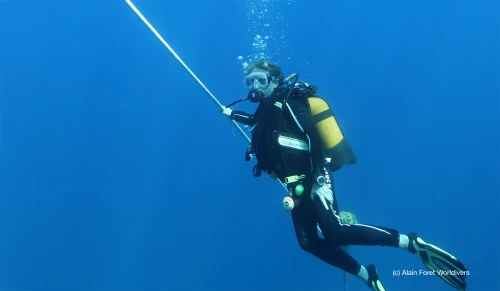 Deep Stops (EN/FR/ES)