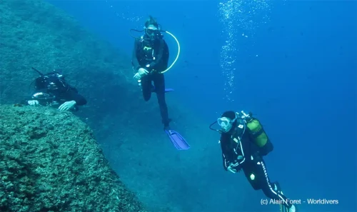 Nitrogen Narcosis (EN/FR/ES)