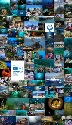 CMAS & UNESCO: Celebrating 25 Years of the 2001 Convention
