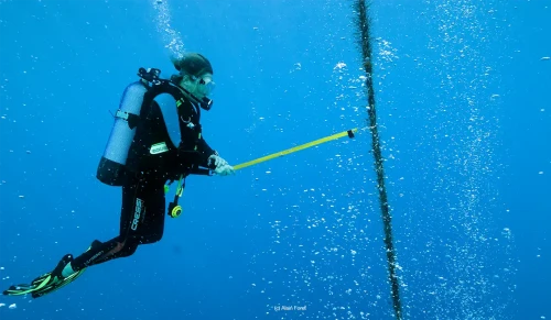 Desat: Bühlmann ZH-L, Haldanean set of parameters (EN/FR/ES)