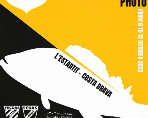 2025 CMAS World Cup Para Underwater Photo