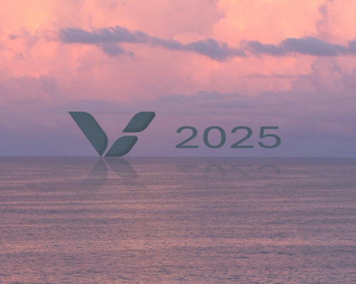 Vertical Blue 2025