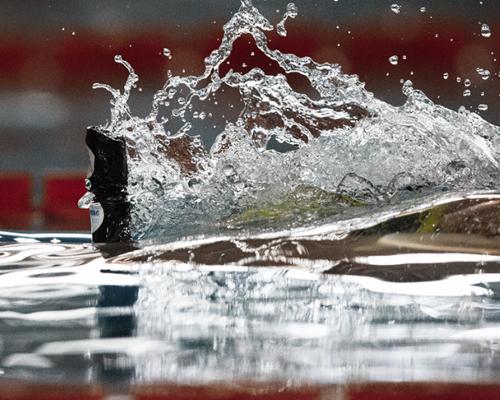 1st Para Freediving and Para Finswimming World Championship