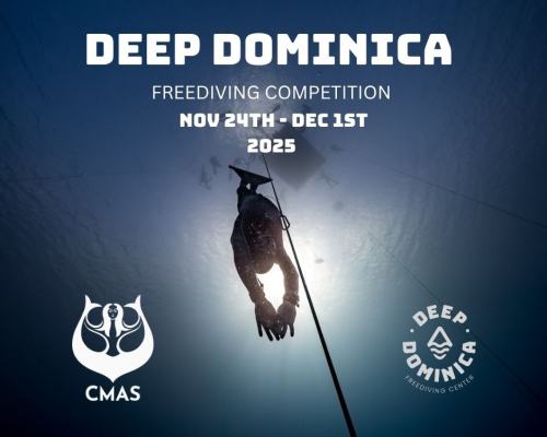 Deep Dominica Depth Competition