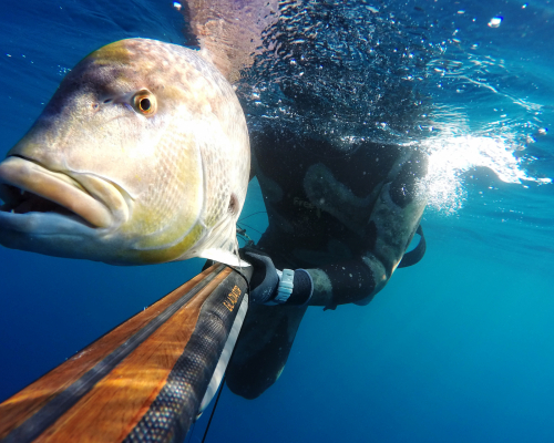 Spearfishing World Championship